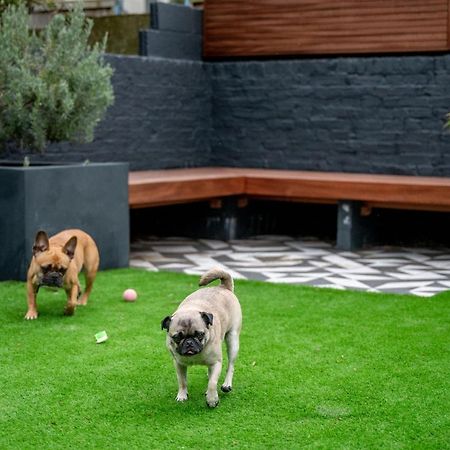 Doghouse Margate Acomodação com café da manhã Exterior foto